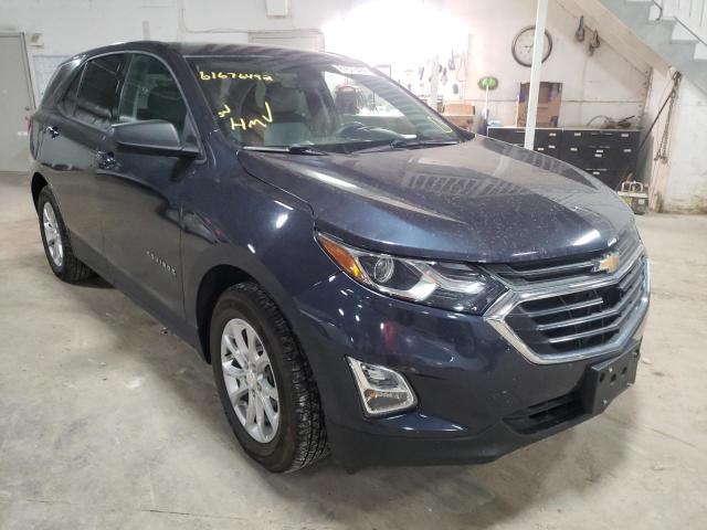 CHEVROLET EQUINOX LS 2019 3gnaxhev1ks548661