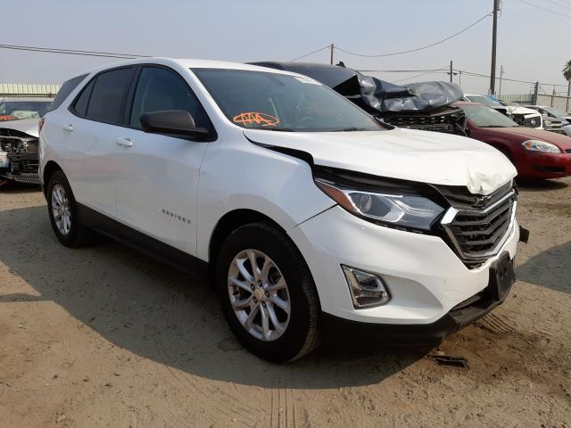 CHEVROLET EQUINOX LS 2019 3gnaxhev1ks596340