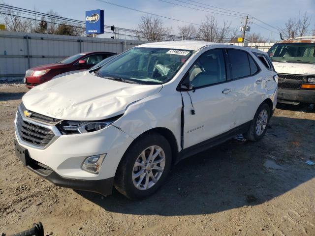 CHEVROLET EQUINOX LS 2019 3gnaxhev1ks621950