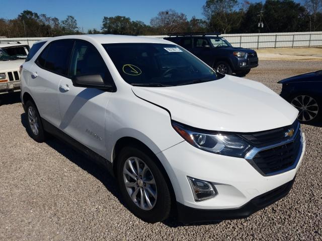 CHEVROLET EQUINOX LS 2019 3gnaxhev1ks625335