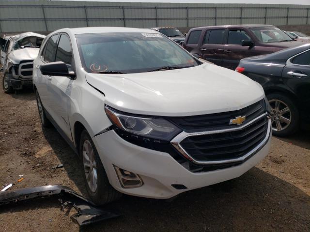 CHEVROLET EQUINOX LS 2019 3gnaxhev1ks660148