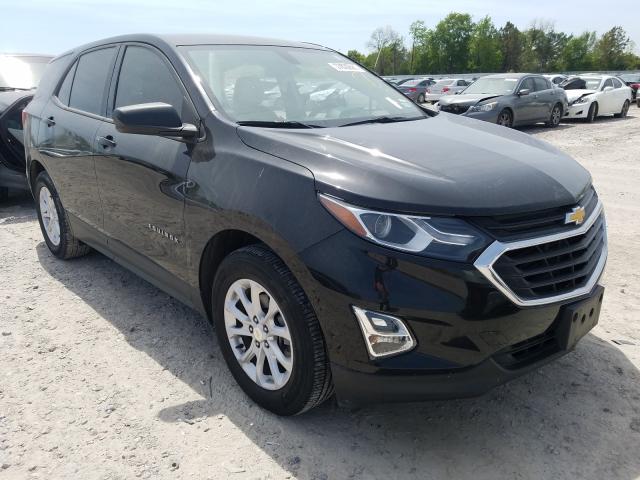 CHEVROLET EQUINOX LS 2019 3gnaxhev2kl368342