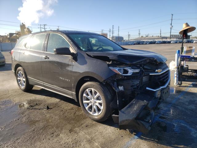 CHEVROLET EQUINOX LS 2019 3gnaxhev2kl397887