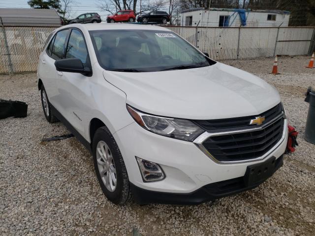 CHEVROLET EQUINOX LS 2019 3gnaxhev2ks620872