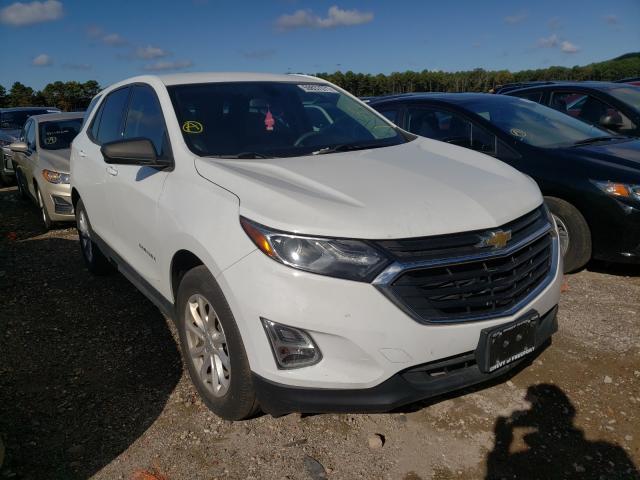 CHEVROLET EQUINOX LS 2019 3gnaxhev2ks677993