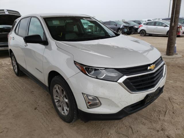 CHEVROLET EQUINOX LS 2019 3gnaxhev3kl185421