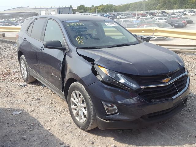 CHEVROLET EQUINOX LS 2019 3gnaxhev3kl235895