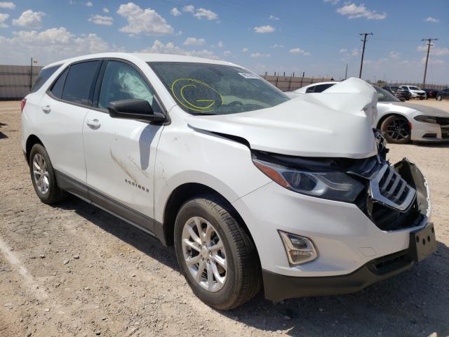 CHEVROLET EQUINOX LS 2019 3gnaxhev3ks589549