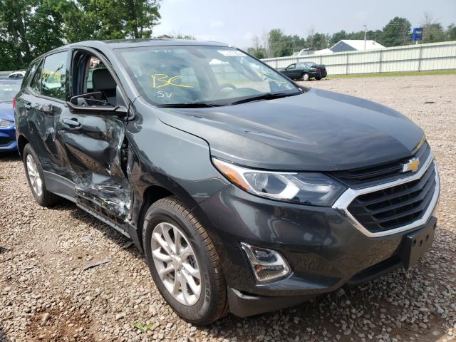 CHEVROLET EQUINOX LS 2019 3gnaxhev3ks598378