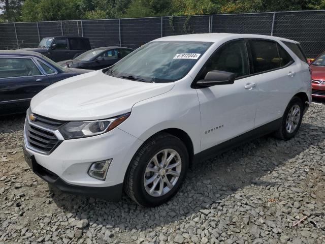 CHEVROLET EQUINOX LS 2019 3gnaxhev3ks642539