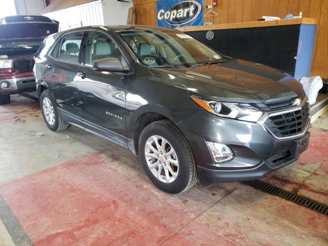 CHEVROLET EQUINOX LS 2019 3gnaxhev4ks634188