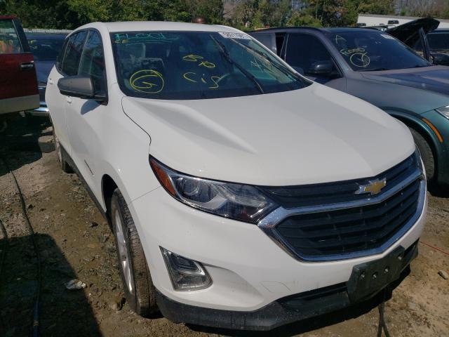 CHEVROLET EQUINOX LS 2019 3gnaxhev4ks670706