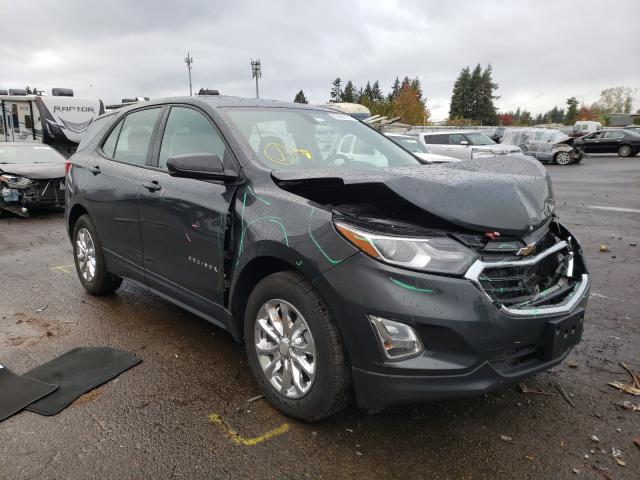 CHEVROLET EQUINOX LS 2019 3gnaxhev5kl224896