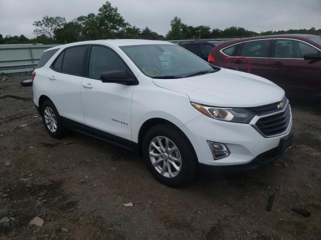 CHEVROLET EQUINOX LS 2019 3gnaxhev5ks517381