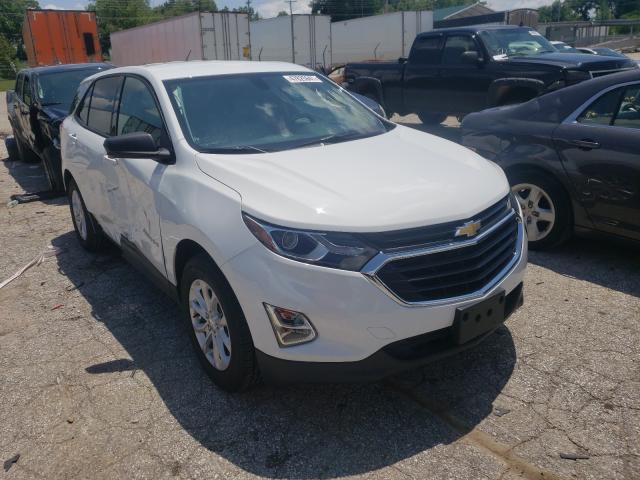 CHEVROLET EQUINOX LS 2019 3gnaxhev5ks545438