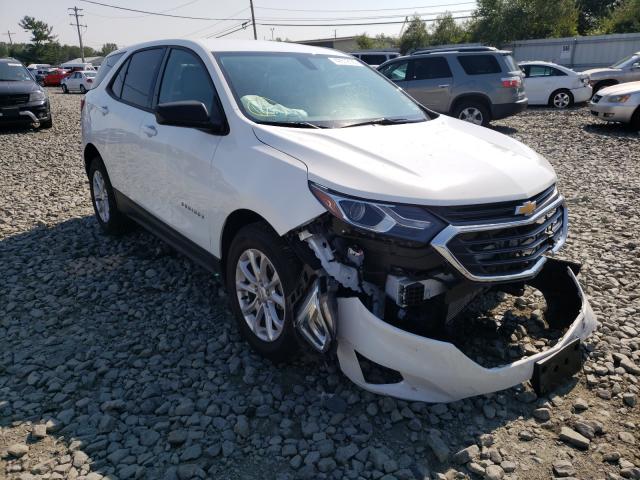 CHEVROLET EQUINOX LS 2019 3gnaxhev5ks556780