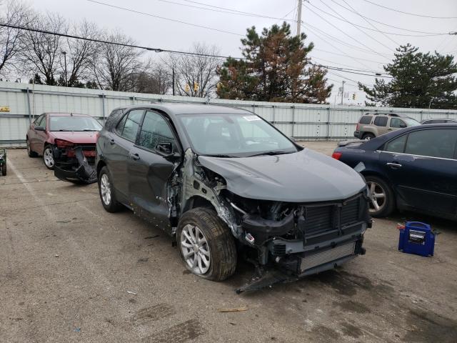 CHEVROLET EQUINOX LS 2019 3gnaxhev5ks599855