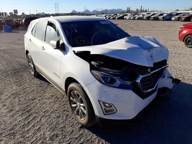 CHEVROLET EQUINOX LS 2019 3gnaxhev5ks637763