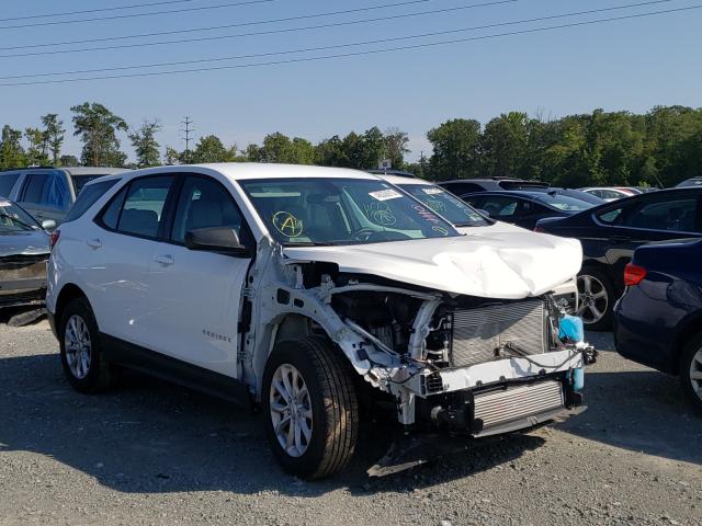 CHEVROLET EQUINOX LS 2019 3gnaxhev5ks651517