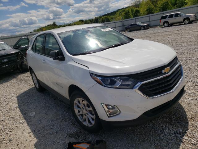 CHEVROLET EQUINOX LS 2019 3gnaxhev5ks667071