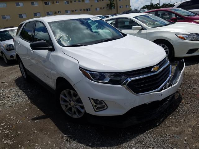 CHEVROLET EQUINOX LS 2019 3gnaxhev5ks674764