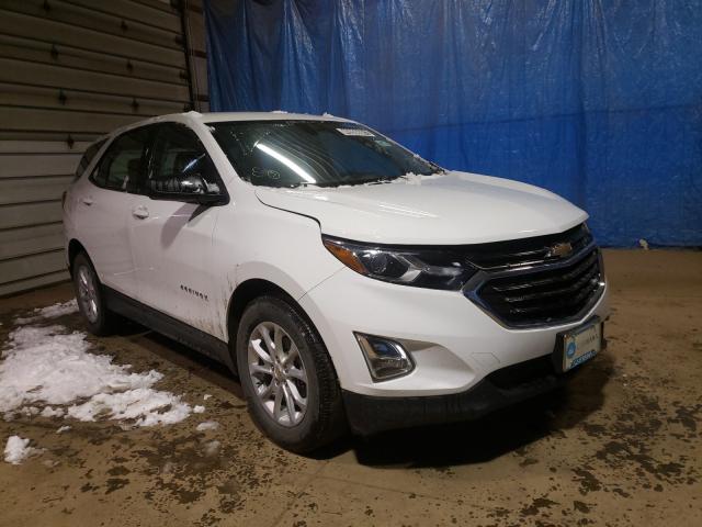 CHEVROLET EQUINOX LS 2018 3gnaxhev6js577023