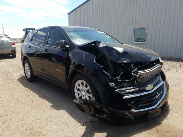 CHEVROLET EQUINOX LS 2019 3gnaxhev6kl196087