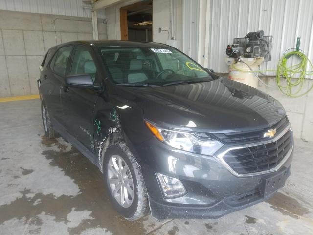 CHEVROLET EQUINOX LS 2019 3gnaxhev6kl352614