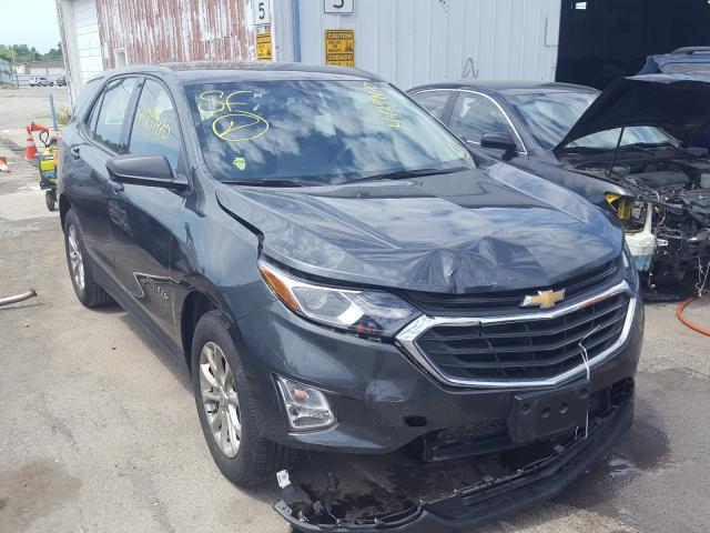 CHEVROLET EQUINOX LS 2019 3gnaxhev6ks508334