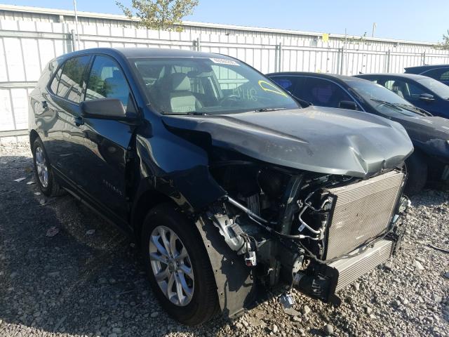 CHEVROLET EQUINOX LS 2019 3gnaxhev6ks587102