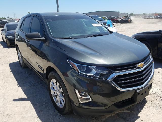 CHEVROLET EQUINOX LS 2019 3gnaxhev6ks606862