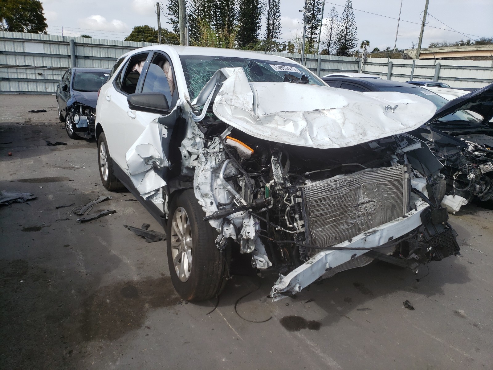 CHEVROLET EQUINOX LS 2019 3gnaxhev6ks643264