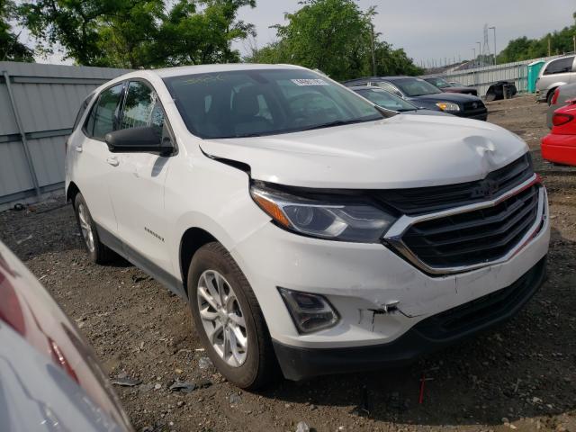 CHEVROLET EQUINOX LS 2019 3gnaxhev7kl260556