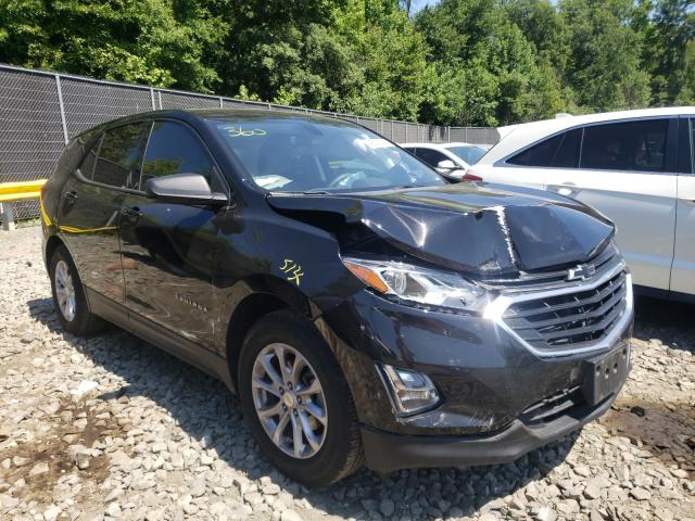 CHEVROLET EQUINOX LS 2019 3gnaxhev7kl384424