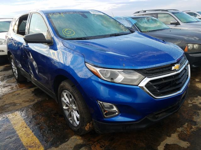 CHEVROLET EQUINOX LS 2019 3gnaxhev7ks553718