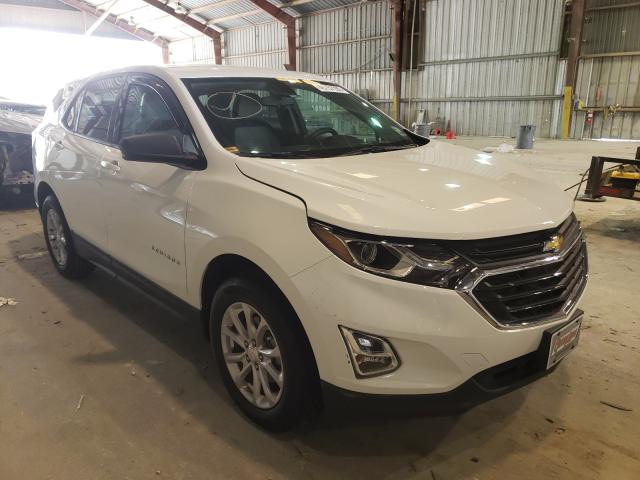 CHEVROLET EQUINOX LS 2019 3gnaxhev7ks628577