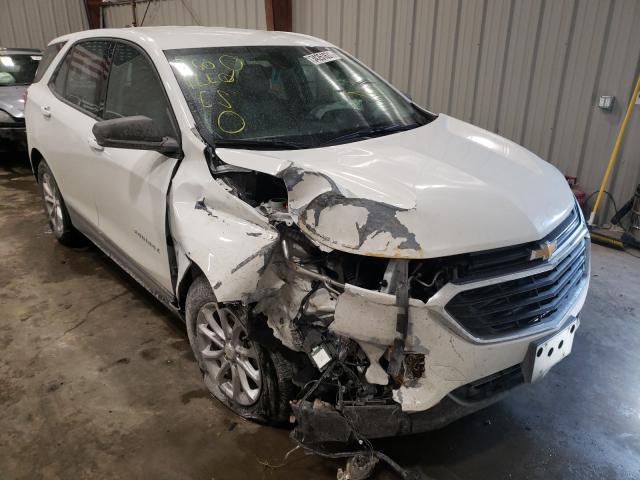 CHEVROLET EQUINOX LS 2019 3gnaxhev8ks582080