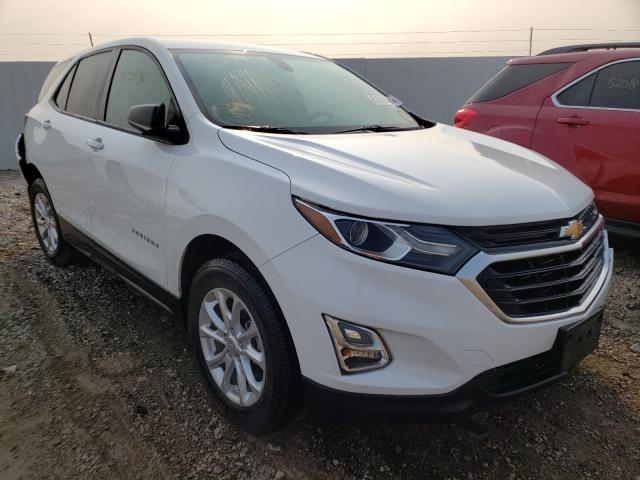 CHEVROLET EQUINOX LS 2019 3gnaxhev8ks593547