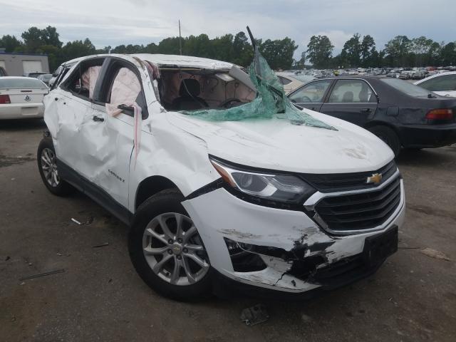 CHEVROLET EQUINOX LS 2019 3gnaxhev8ks613411