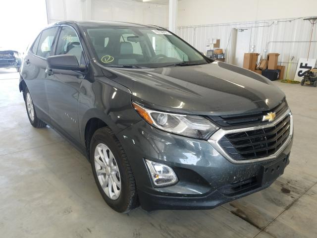 CHEVROLET EQUINOX LS 2019 3gnaxhev8ks655349