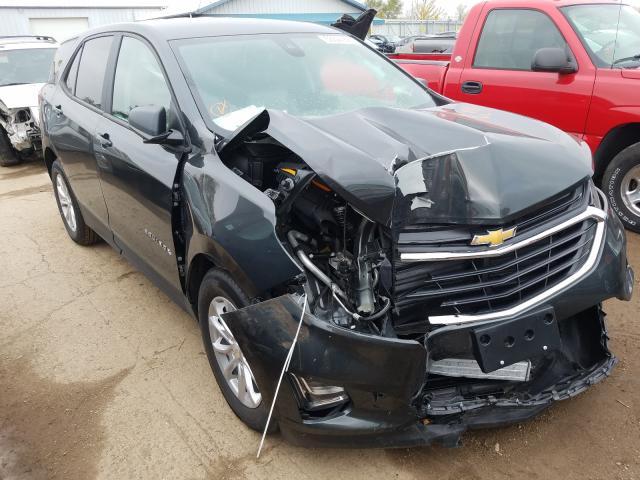 CHEVROLET EQUINOX LS 2020 3gnaxhev8ls653862