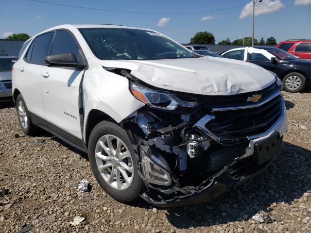 CHEVROLET EQUINOX LS 2018 3gnaxhev9jl102282