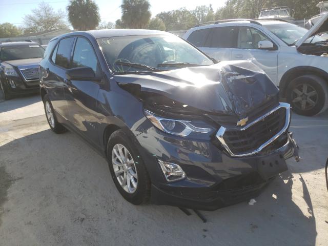 CHEVROLET EQUINOX LS 2019 3gnaxhev9kl187528