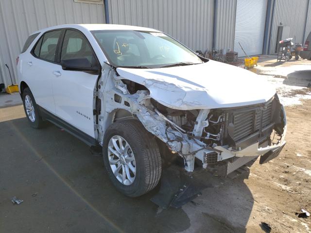 CHEVROLET EQUINOX LS 2019 3gnaxhev9kl258176