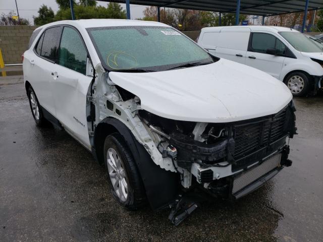 CHEVROLET EQUINOX LS 2019 3gnaxhev9ks519389