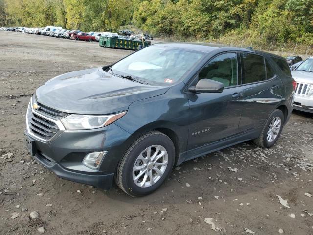 CHEVROLET EQUINOX LS 2019 3gnaxhev9ks598126