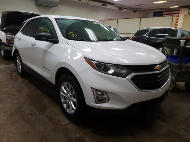 CHEVROLET EQUINOX LS 2019 3gnaxhev9ks655795