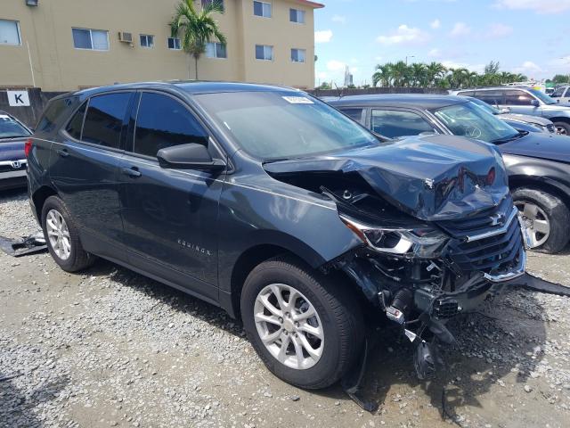 CHEVROLET EQUINOX LS 2019 3gnaxhev9ks677604