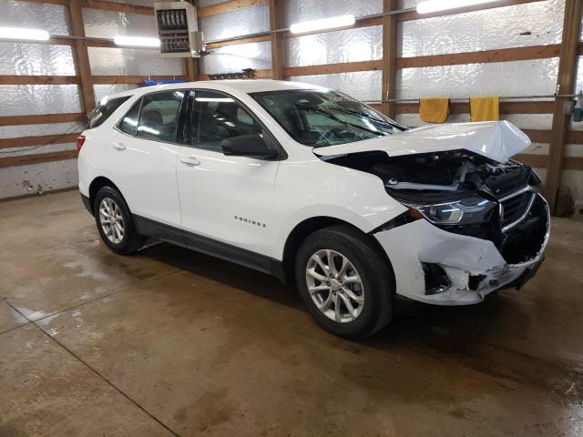 CHEVROLET EQUINOX LS 2019 3gnaxhevxkl181446