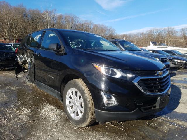 CHEVROLET EQUINOX LS 2019 3gnaxhevxkl306204